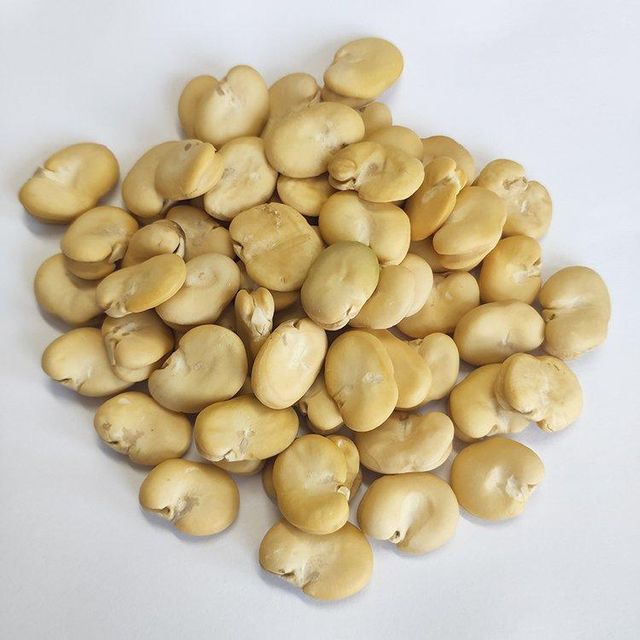 Peeled Whole Chinese broad beans fava beans without shell - Image 4