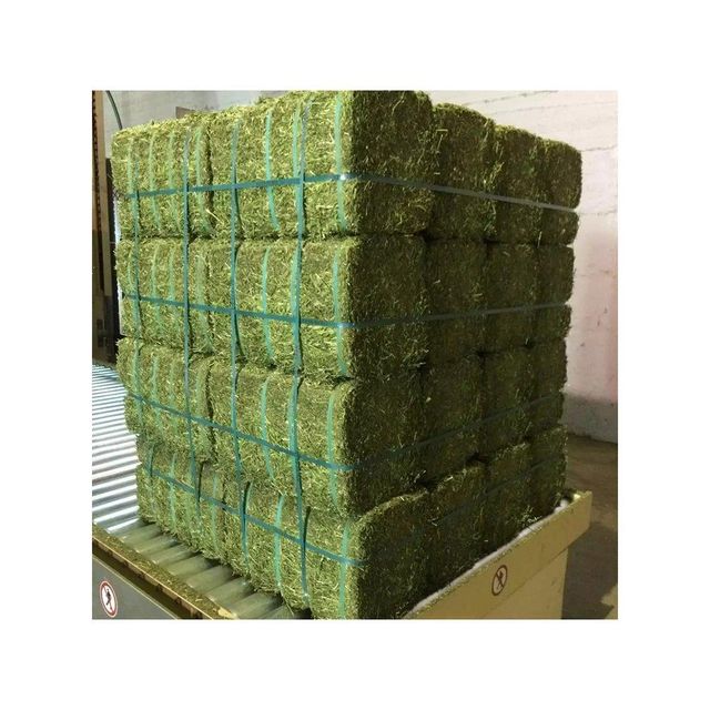 American Alfalfa Lucerne Hay for Animal Feed Cattle Horse Cow Chicken - Image 1