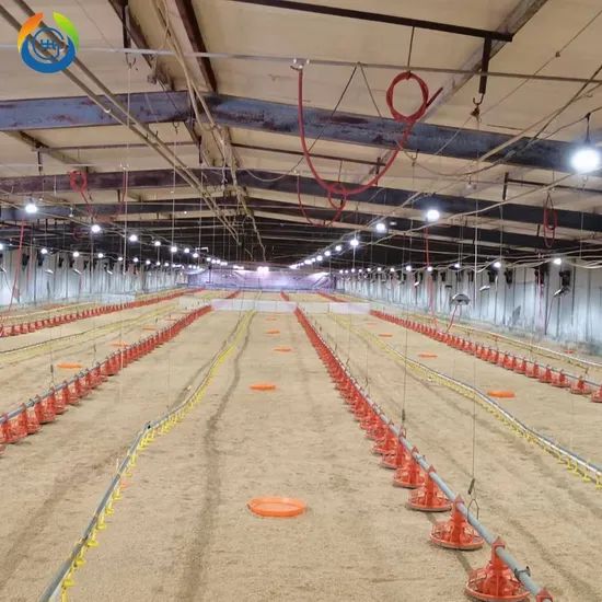 Programmable Intelligent Poultry Light Controller Timer Dimmer for Chicken Farm - Image 5