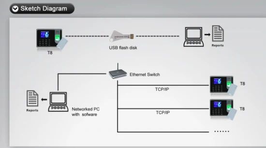 Desktop Biometric Time Attendance with Fingerprint Sensor (SSR report function) - Image 5