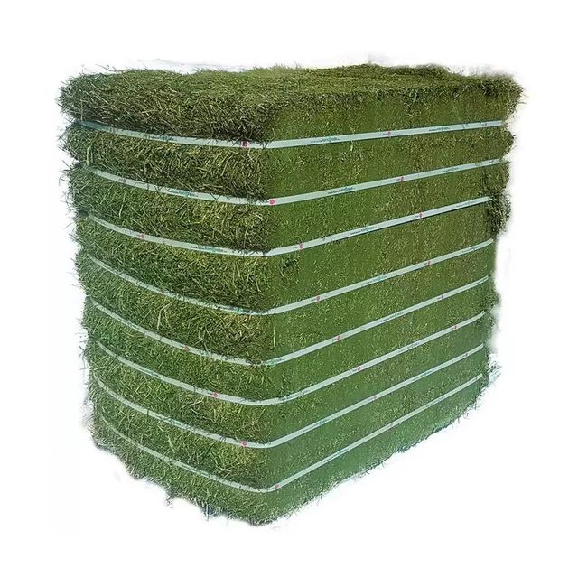 Premium Alfalfa Hay Bulk Packaging High Quality Wholesale Price - Image 1