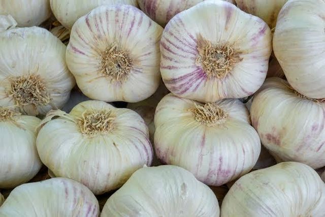Dried Garlic - Image 1