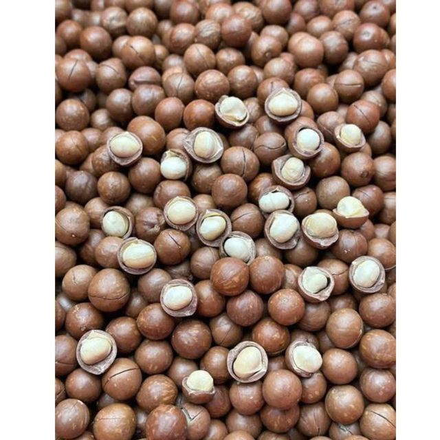 Wholesale Bulk Macadamia Nuts Fresh Dried Macadamia Nuts Perfect For Retail Or Large Scale Nut Packaging - Image 4