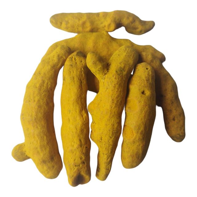 Premium Turmeric Roots With Superior Turmeric Purity Suitable For Spice Processing And Natural Medicine Industries - Image 3