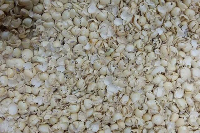 Premium Quality Soy Husk Meal for Animal Feed with Fast Delivery Available Now Buy at Wholesale Price - Image 4