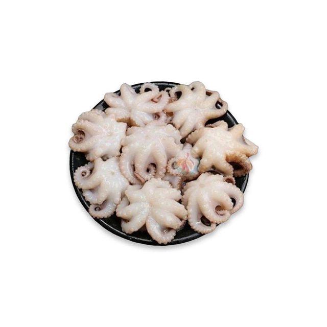 Low price frozen baby octopus whole provided for bulk purchase and quick delivery - Image 4