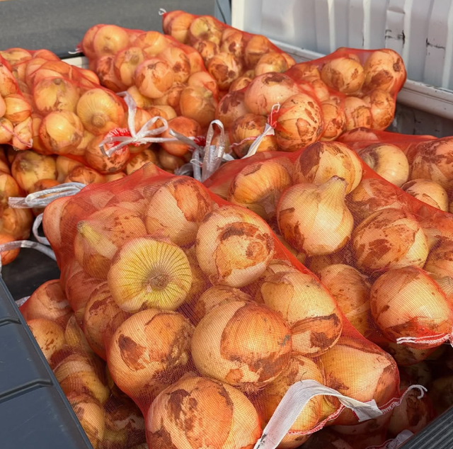 Export Grade Quality Fresh Harvest Premium Fresh Yellow Onions 80mm Export 10Kg,60kg Bags On Sale - Image 1