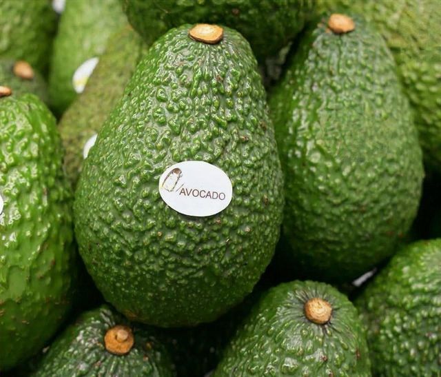 FRESH AVOCADO (Hass/Buccaneer/Booth7)~(Premium/ A,B,C Grades) – product photo 3, product detail gallery