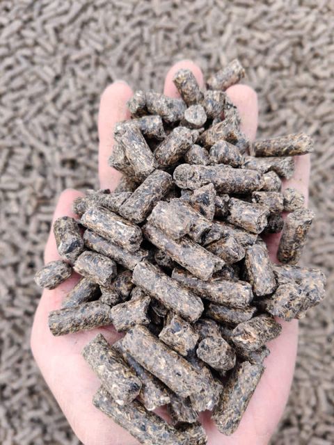 sunflower meal - Image 2