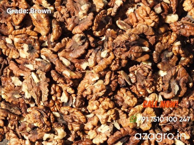 Kashmir Walnut | Shelled, Halves, Broken | India - Image 2