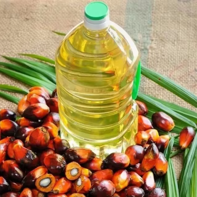 Export Source Delivers Refined Palm Oil With Clean Processing Methods And Flexible Packing - Image 3