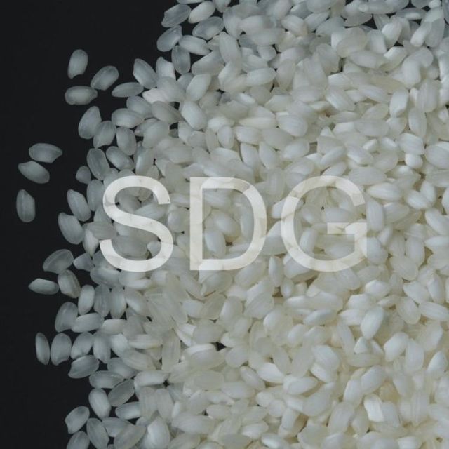 Round Grain Rice Type Rice Color White Style Dried Texture Soft Grade Highest Drying Process AD Certification APEDA Max. Moisture (%) 14 - Image 1