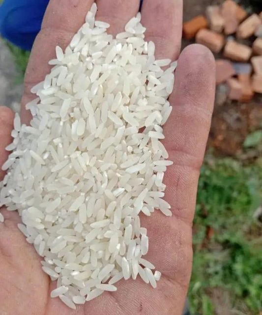 White rice - Image 3