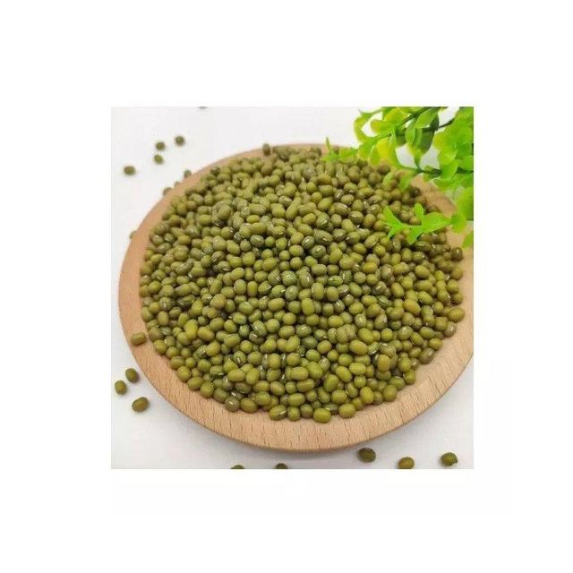 Best choice and best discounts Green Bean Machine Cleaned Premium Grade Green Mung Beans Exporter - Image 3