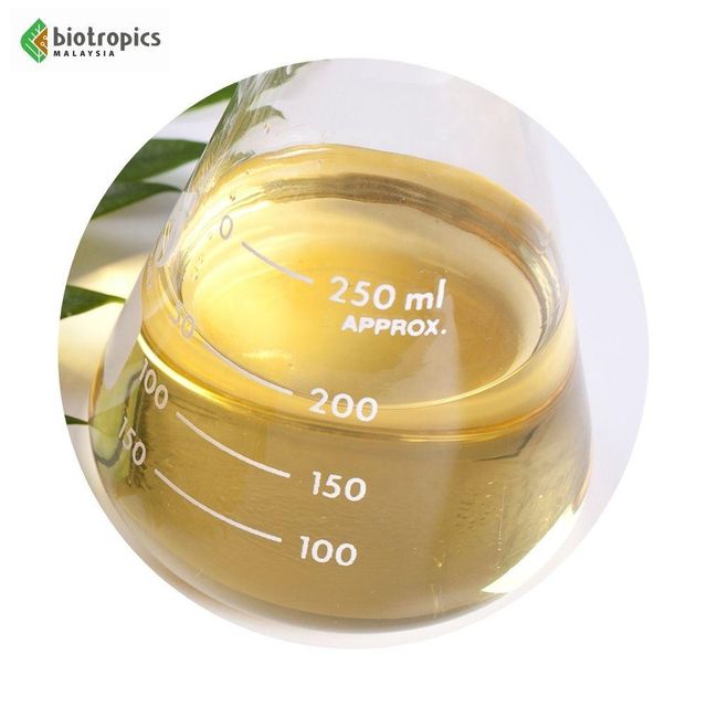 Wholesale Pure Virgin Refined Coconut Oil Ingredients for Face Products or Food 12 Months Shelf Life - Image 3