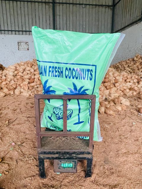 Semi Husked Coconuts Grade A Aroma Rich Color Brown Taste Sweet Hs Code 08011910 Packaging PP Bags Place of Origin Indai - Image 3