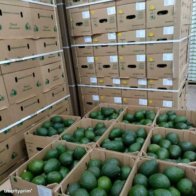 Organic Tropical Hass Avocado Fresh - Image 3