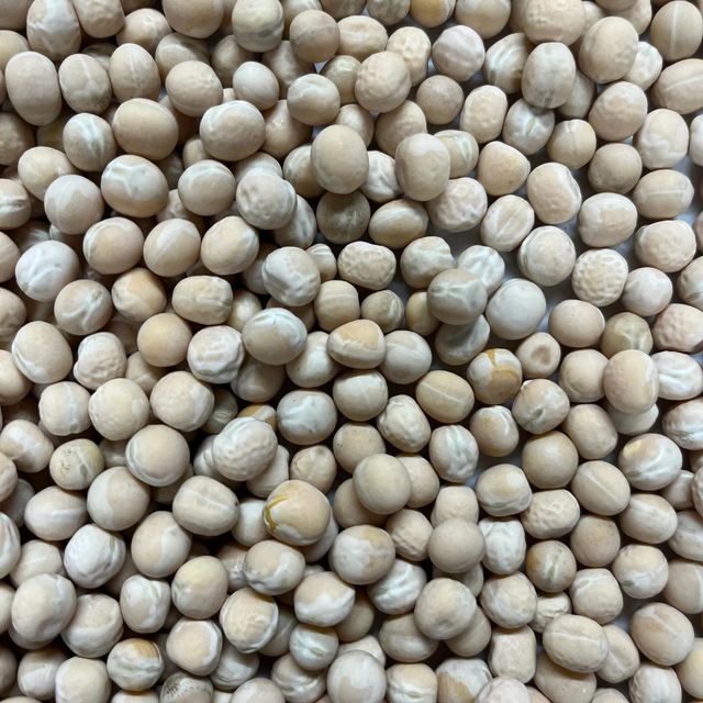 Export Grade White Peas With Low Moisture Content And High Purity For Long Term Storage And Transport - Image 2