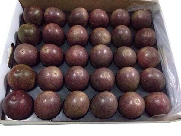 Wholesales Price Fresh Fruit Natural Sweet Passion fruits With 2kg/carton Packaging From Vietnam For Export - Image 4