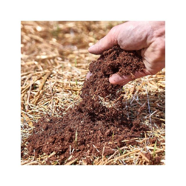 High quality peat moss for soil enrichment at wholesale bulk rates - Image 3