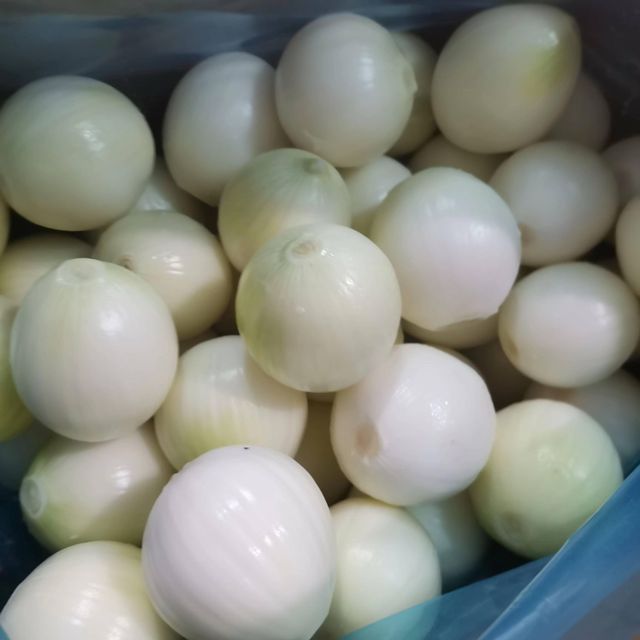 Vacuum Packed Fresh Peeled Onion for Cooking and Food Processing - Image 1