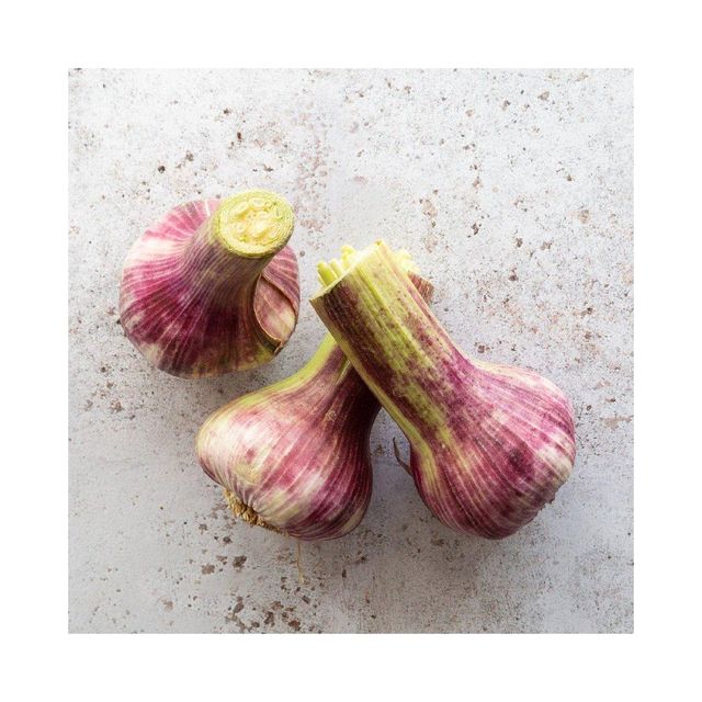 Premium Quality Wholesale Fresh Peeled Garlic For Sale In Cheap Price - Image 1