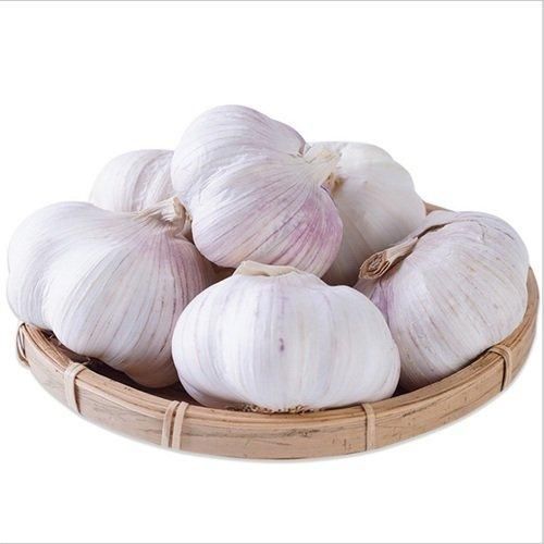 Natural Fresh Garlic 6.0cm Clean White Garlic for Hotels Catering and Food Service Bulk Wholesale Low Cost - Image 3