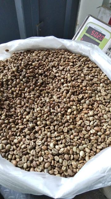 Robusta green beans Decaffeinated No Bean Type Robusta - Image 2