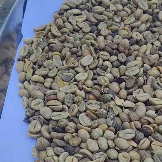 Coffee Green Bean Grade Class 1 Type Robusta and Arabica Green Coffee Beans Place of Origin Aceh, Jawa Tengah – - Image 5