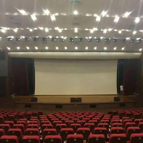 Large Size Electric Projector Screen/Big Motorized Projection Screen (LES300V) - Image 5