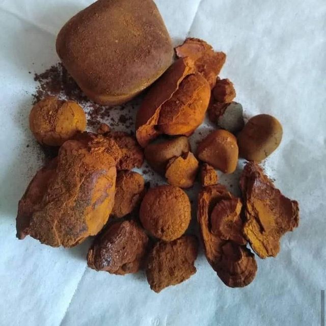 Hot Sale Cow Ox Gallstone Natural Dried Bovine Gallstone Premium Quality for Herbal Medicine and Pharmaceutical Industry - Image 5