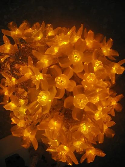 2018 Hot Sale LED String Light for Christmas Decoration - Image 3