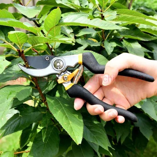 2PCS Pruning Shear Gardening Hand Bypass Secateurs Lopper Shear Set - Image 3
