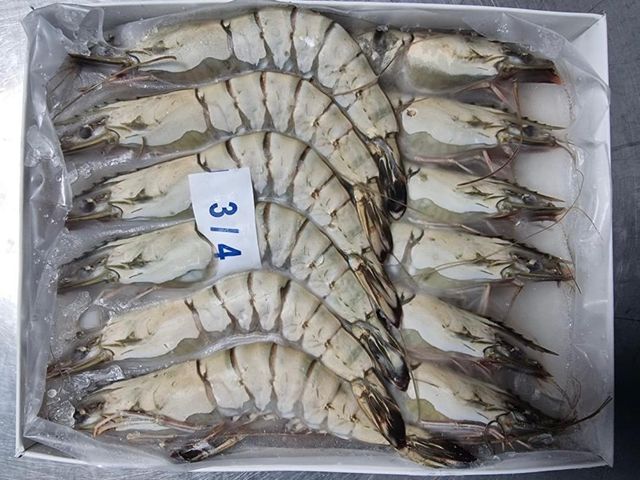 Black Tiger Shrimp / Black Tiger Prawn (HOSO) Shelf Life 24 months Place Of Origin Malaysia Place of Origin Malaysia Packaging Type Ivp Or Iwp - Image 2