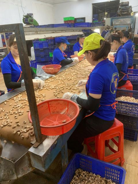 100% Cashew Nuts 10kgs/box Dried Style Delicious taste Cashew from Vietnam 6-12 months Shelf Life Vietnamese Cashew Nuts WW320 - Image 3