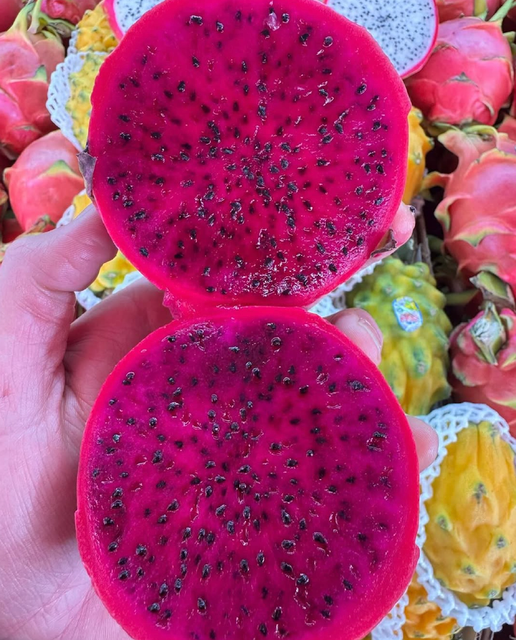 Premium Fresh Produce – Premium Dragon Fruit 9kg Export Box On Sale - Image 4