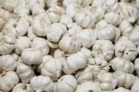 Fresh Garlic Bulbs – Premium Quality Wholesale & Retail Supply - Image 5