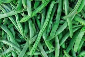 Cluster Beans Suppliers In India Address - Color GREEN Style Fresh Content N/A Model Number pec Ingredients Beans Type cluster - Image 4
