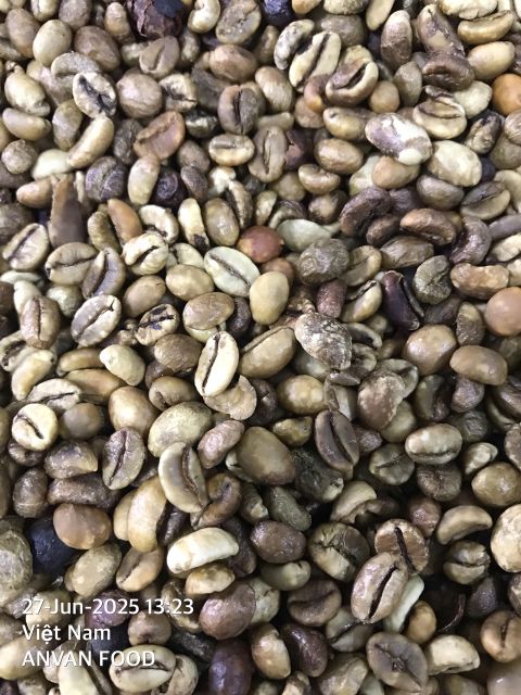 Premium Roasted Robusta Ground Vietnamese Coffee - ANVAN DRIED FOOD - Image 3
