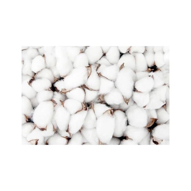 Natural raw cotton for yarn production in large supply Type A, Foil Screen Printing - Image 3