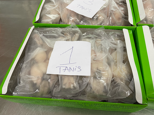 Frozen High Quality IQF Freeze Bull Frog Legs For Sale from Vietnam bulk packing / vacuum bag - Image 6