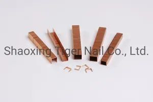 Carton Staple (SB103020) for Packing - Image 3