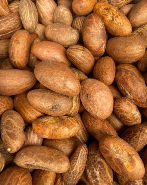 Direct Supplier Quality Bitter Kola Nut in Big Bags / African Bitter Cola Nuts Raw Kola Nuts for Sale - Image 1
