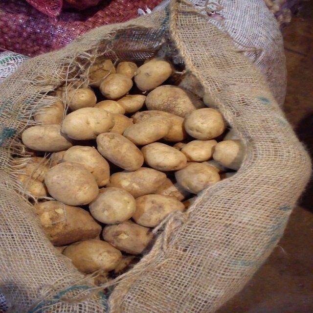 Premium Potatoes Freshly Selected For Cooking And Food Processing With Firm Texture Clean Appearance - Image 2