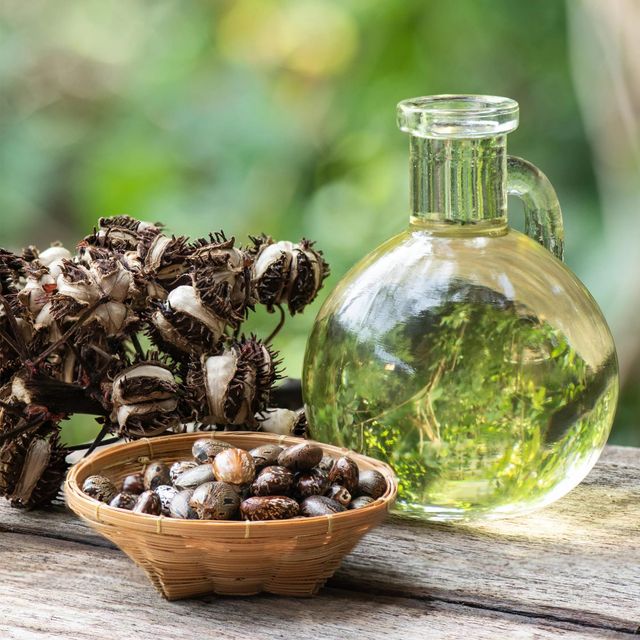 High Quality Pure Castor Oil for Hair Growth Anti Hair Fall Treatment & Skin Repair Cold Pressed Carrier Oil - Image 4