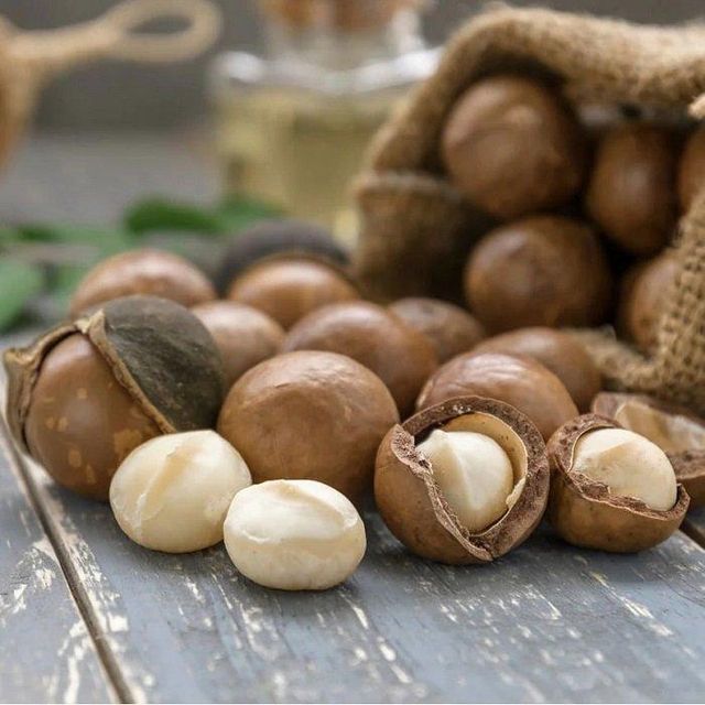 Fast Delivery Raw Dried Macadamia Nuts Bulk Supply Wholesale Premium Quality Healthy Snack - Image 5