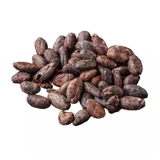 bulk cocoa beans for chocolate manufacturers bakeries and confectionery businesses premium dried cacao beans perfect for cocoa powder cocoa butter and dark chocolate production - Image 3