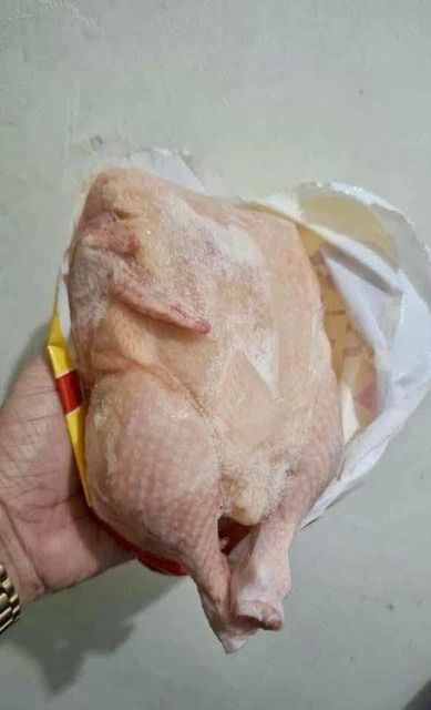 Healthy Fresh Frozen Halal Brazil Chicken 1000g,1100g Whole Chicken Perfect For Grilling And Roasting For Sale - Image 5