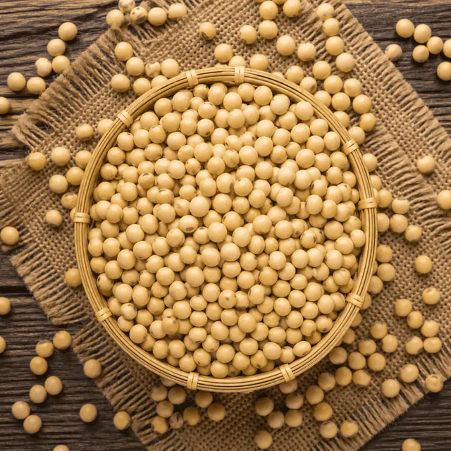 High Quality Based Non-GMO Wholesale Fresh SOYBEAN High Quality Ready to Ship Sprouting and Food Grade Yellow Soybeans - Image 3