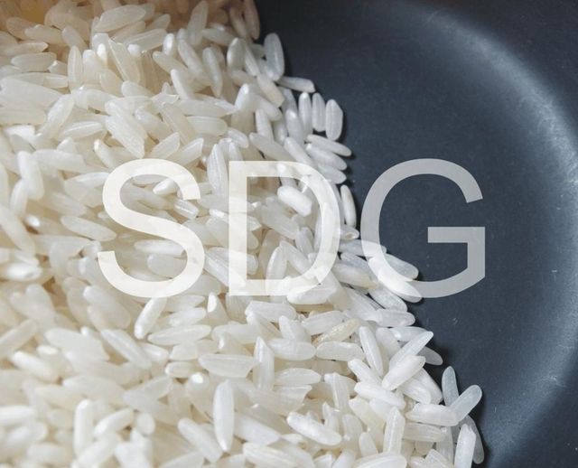 Parmal Pr-11 Sella Non-Basmati Rice Best Quality High Selling Non Basmati Rice Wholesale Offer Price - Image 3